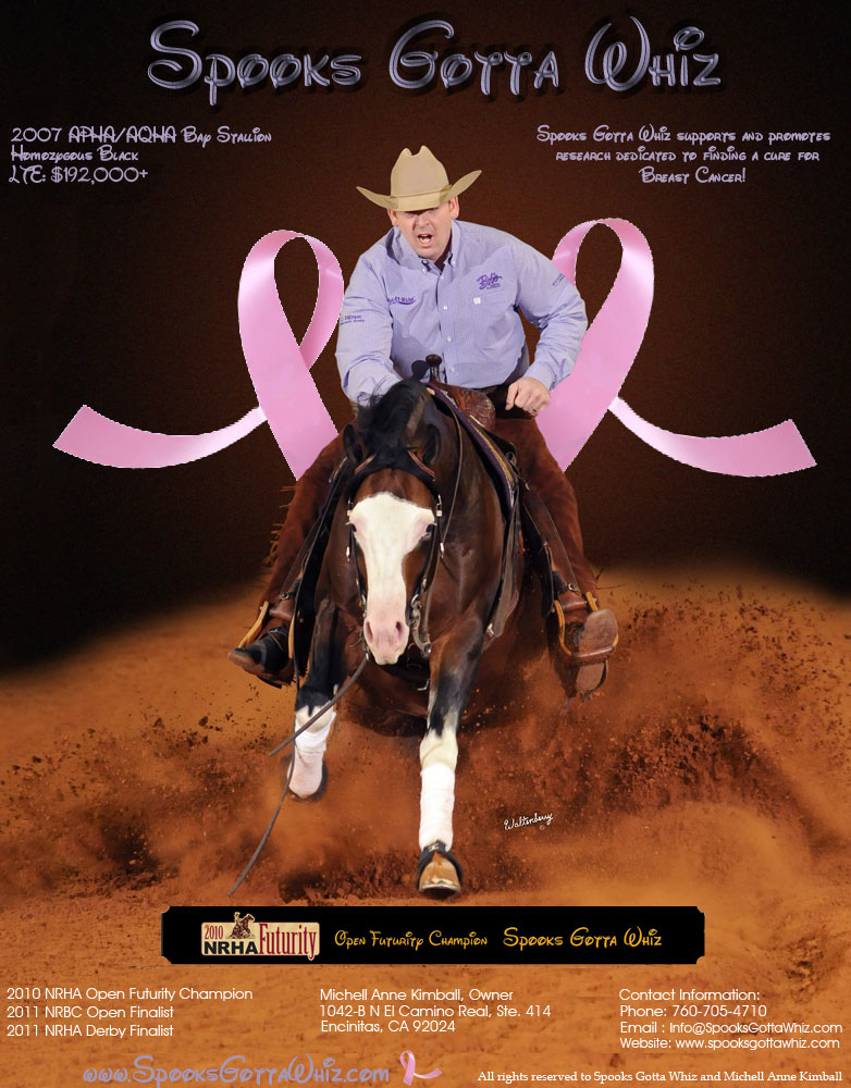 Stallion Card